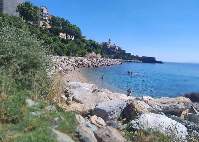 Appartement Cocon Douillet Au Coeur De